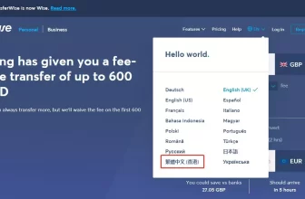 Wise汇款到中国支付宝教程