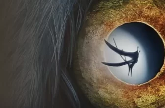 泥巴影院 海外看电影