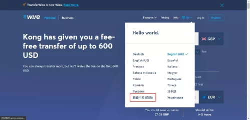 Wise汇款